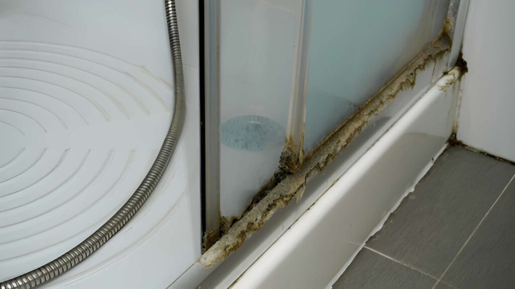 modern frameless shower door replacement in luxury bathroom